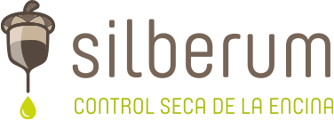 Logo Silberum Empresa de control de la seca de la encina y el alcornoque. Expertos en soluciones contra la fitoftora